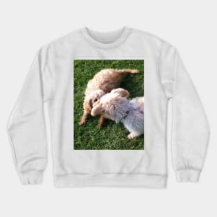 Friend or Foe...? Crewneck Sweatshirt